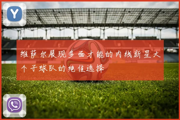 维萨尔展现多面才能的内线新星大个子球队的绝佳选择