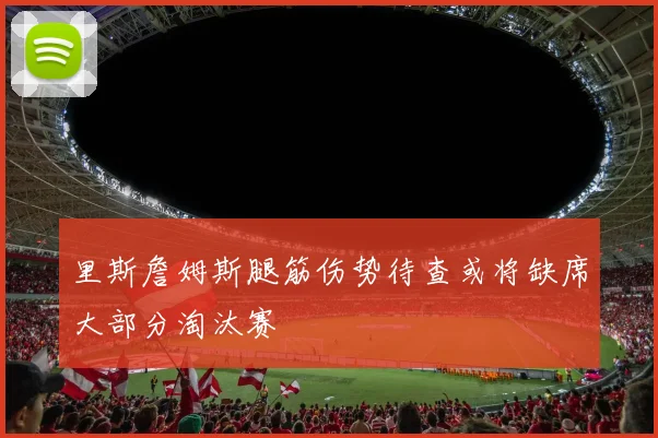 里斯詹姆斯腿筋伤势待查或将缺席大部分淘汰赛